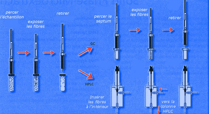 Principe de fonctionnement de la SPME