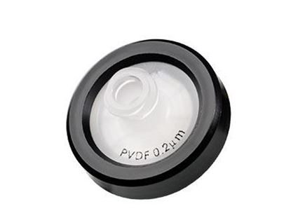 Filtre 17mm en PVDF